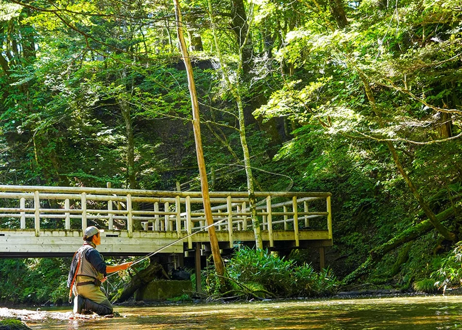 フライフィッシングの様子