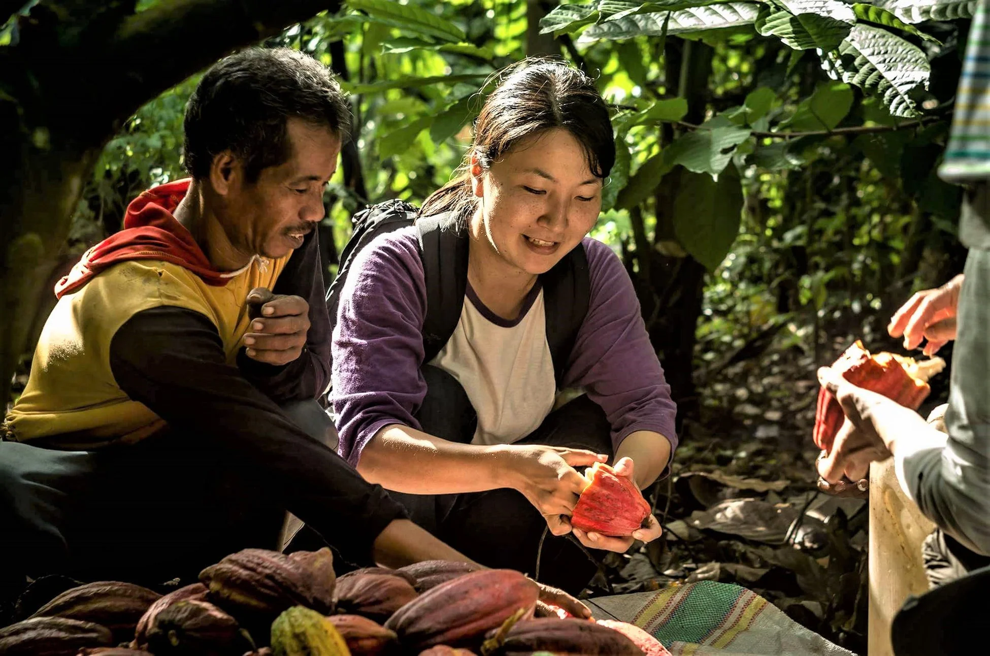 カカオを割る人々