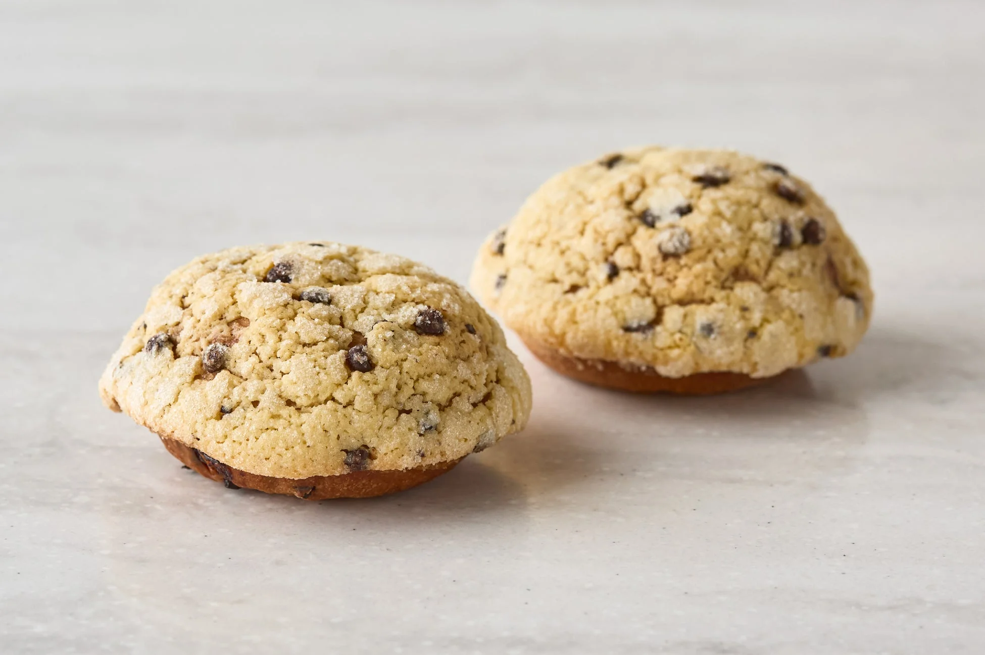 チョコチップブリオッシュメロンパン