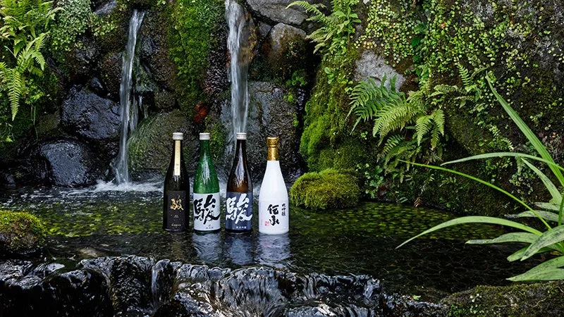 日本酒の瓶と滝