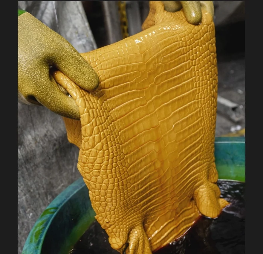 黄色のワニ革を染色する様子