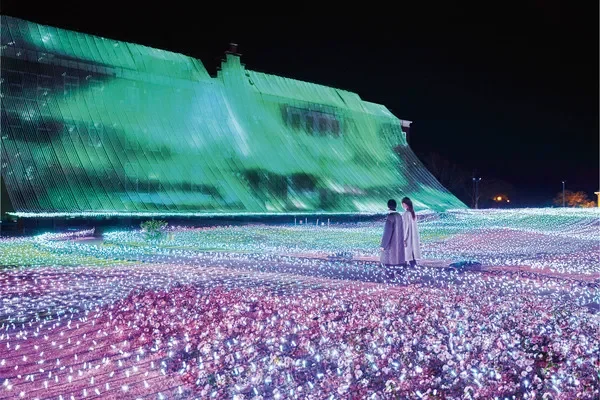 イルミネーション,夜景,ライトアップ,光のイベント,幻想的,建物,カップル,ロマンチック,カラフル,冬,デートスポット,アートインスタレーション