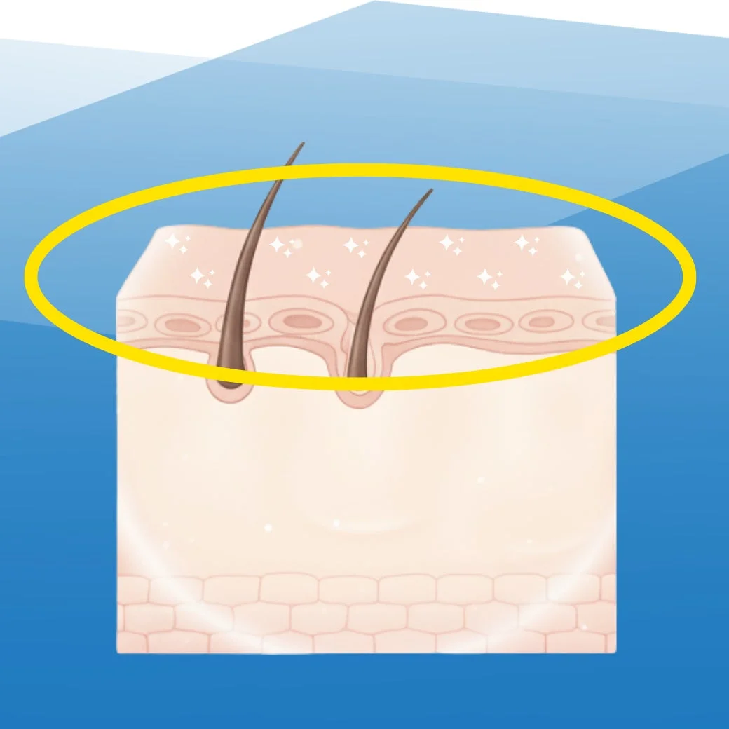 肌のトーンアップのイラスト