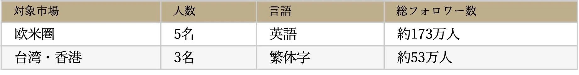 インフルエンサー起用概要