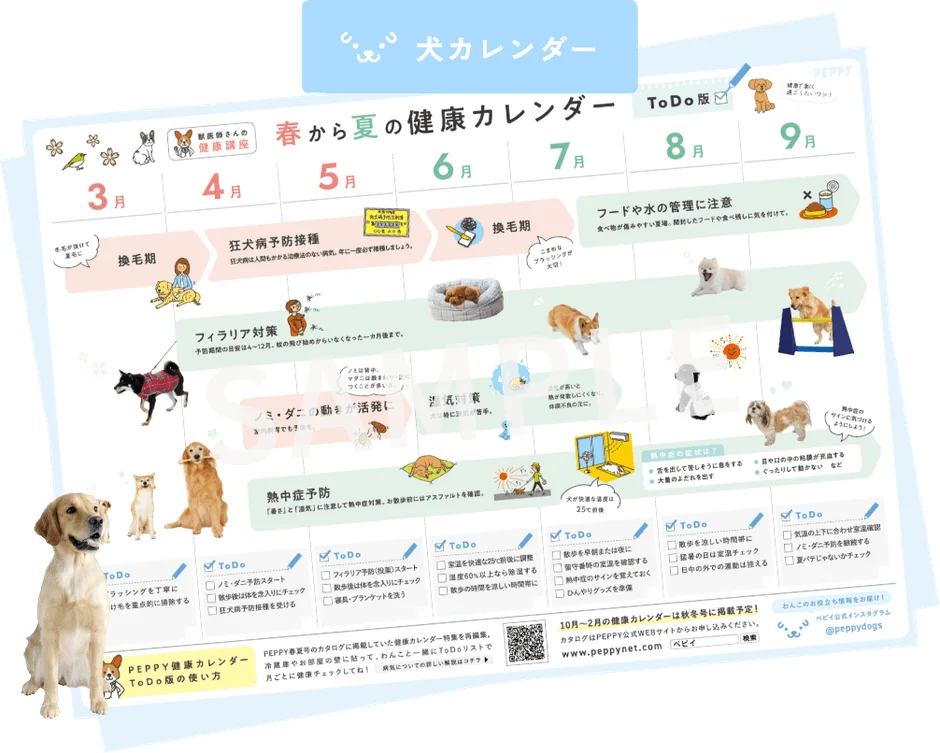犬用健康カレンダーの例