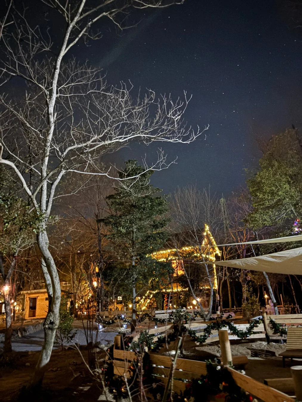 星が輝く冬の夜空の下、ライトアップされた木々や建物が幻想的な雰囲気を醸し出す風景