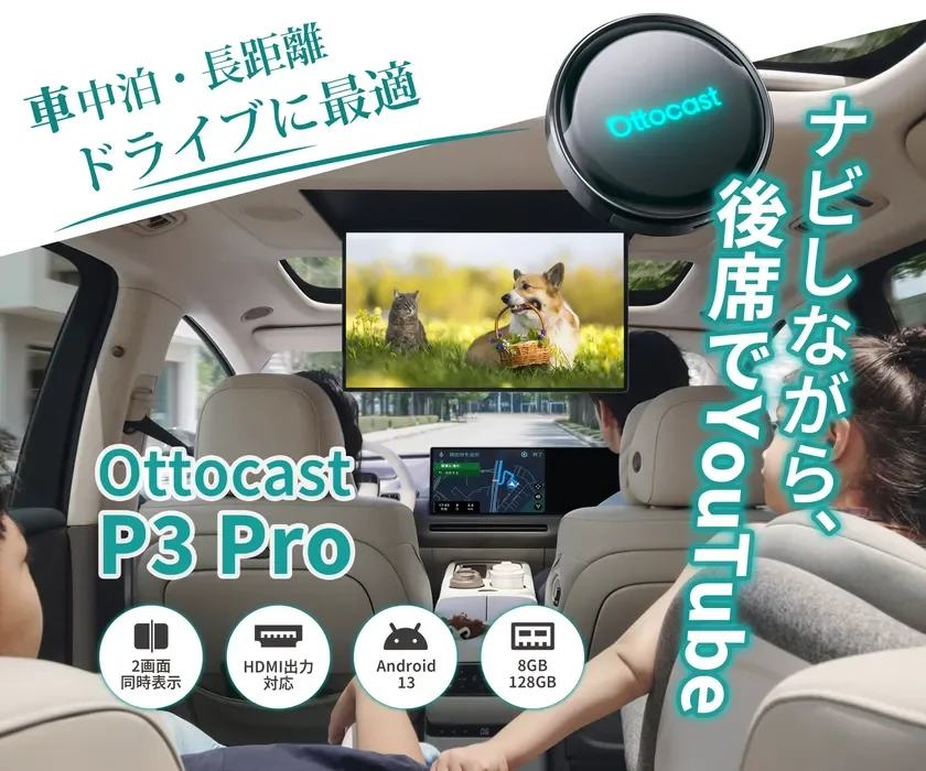 P3 Pro車内使用シーン(後部座席エンタメ)