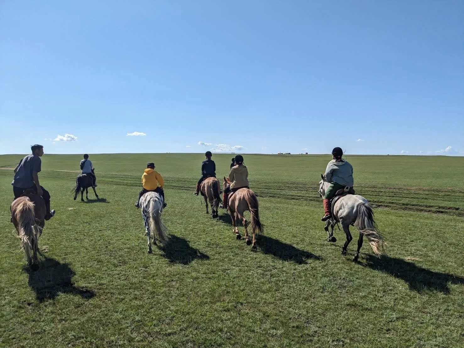 草原で馬に乗るグループ