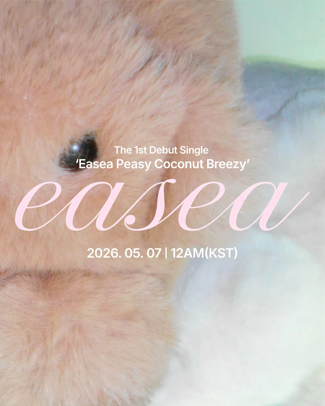 The 1st Debut Single 'Easea Peasy Coconut Breezy'
