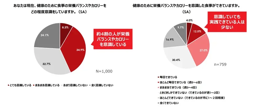 栄養バランスやカロリー意識と実践状況
