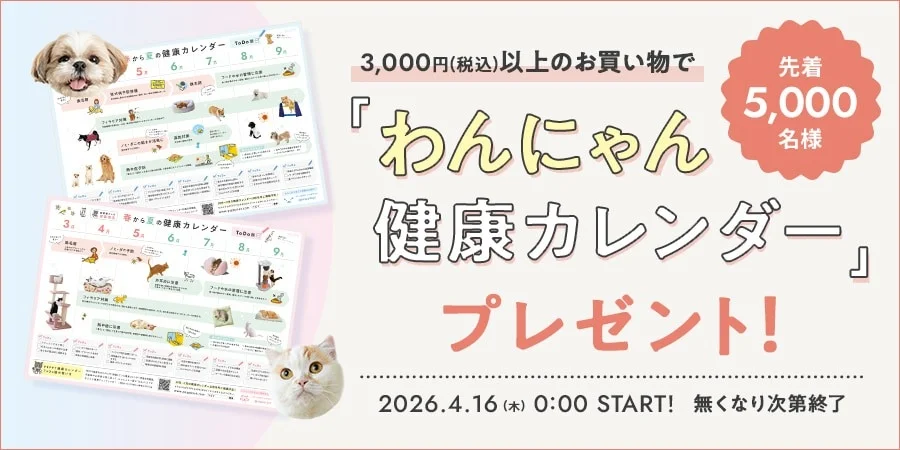 キャンペーン告知