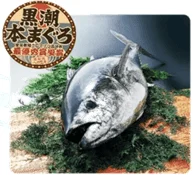黒潮本まぐろ