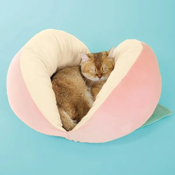 桃のベッドで眠る猫