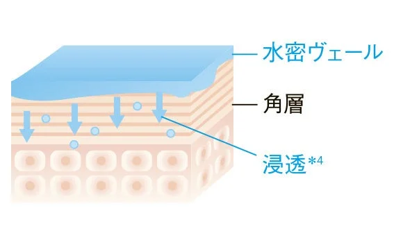 水密ヴェールの説明図