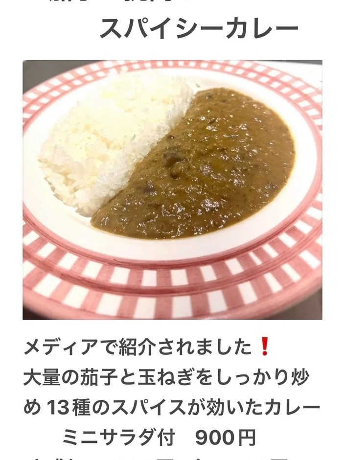13種のスパイスカレー
