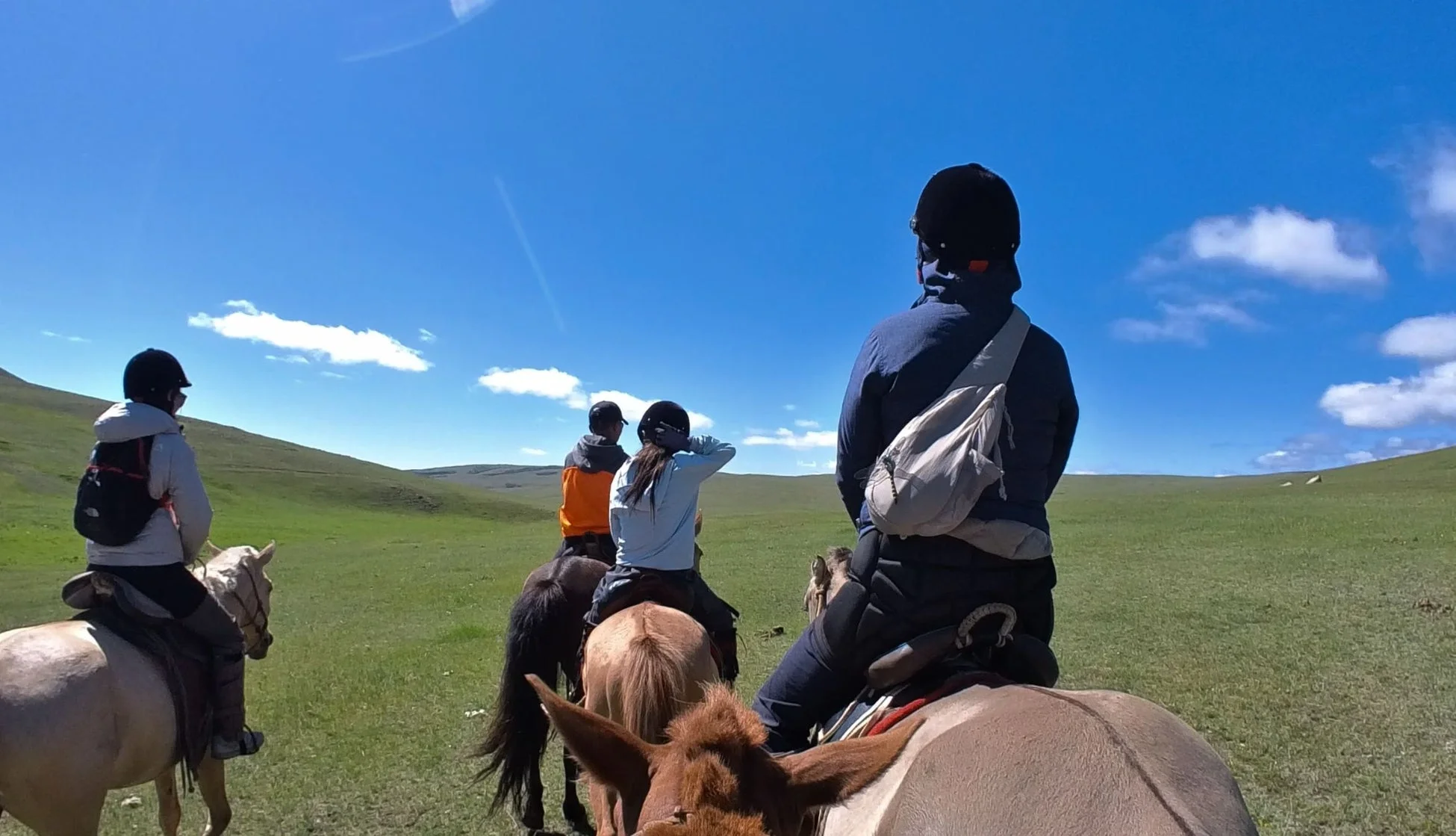 草原で馬に乗る人々