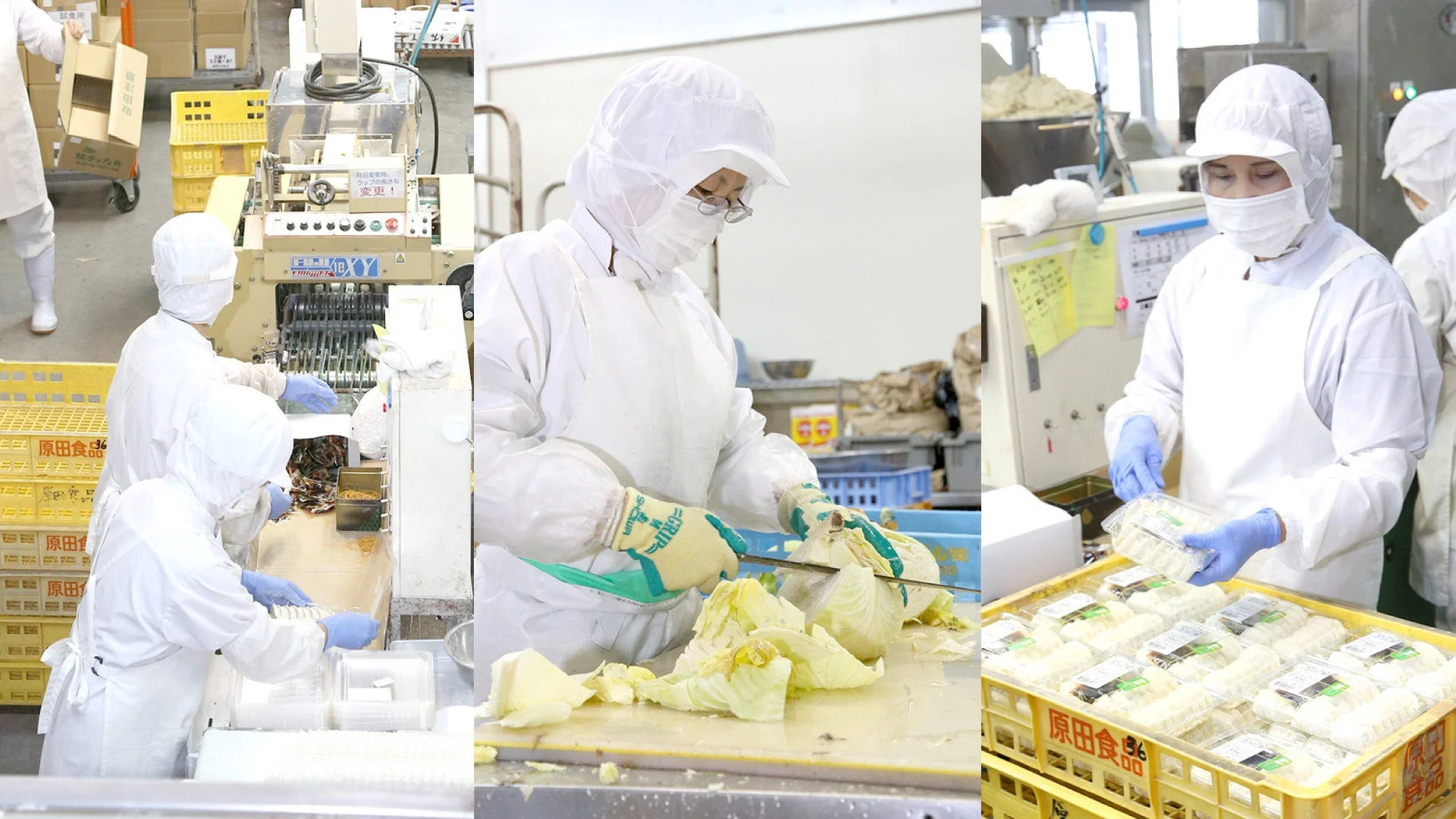 食品加工工場での作業風景