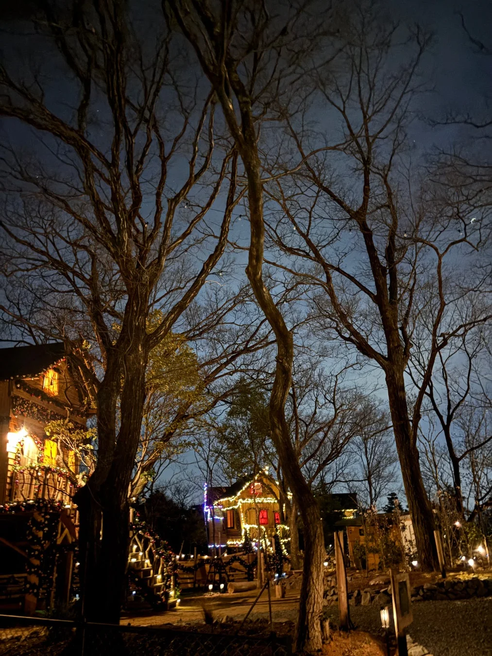 温かい光とクリスマス飾りが施された可愛らしい木造の建物が浮かび上がる幻想的な冬の夜景