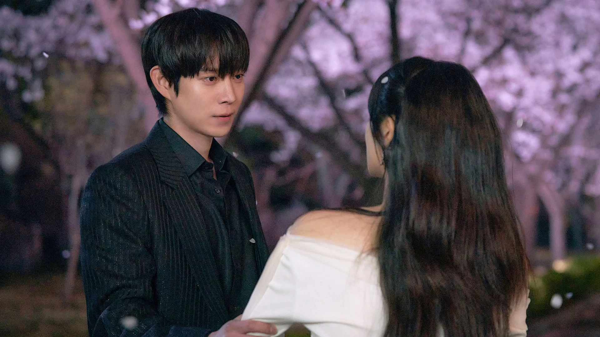 桜の下で見つめ合うカップル