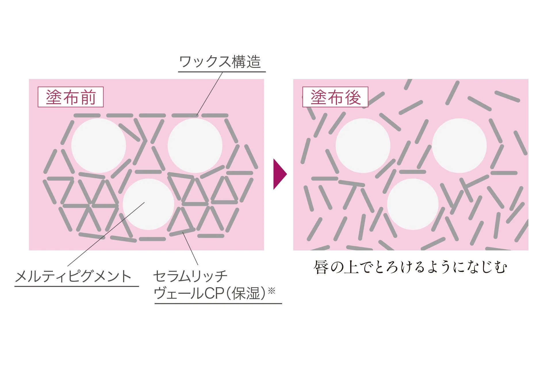 ワックス構造と塗布後の変化