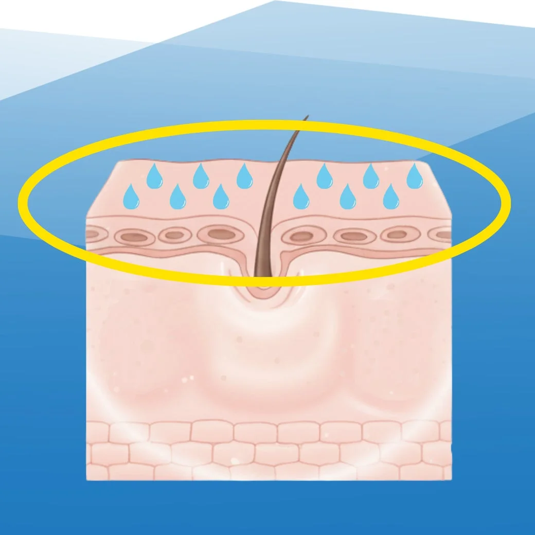 脱毛後の保湿ケアのイラスト