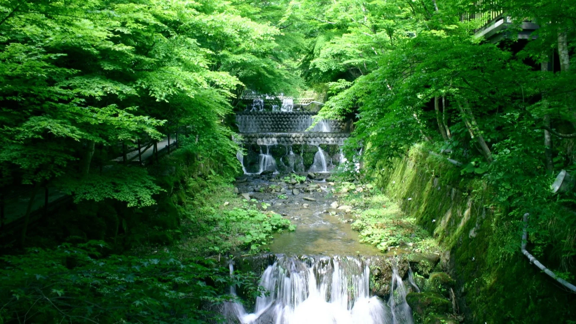 自然豊かな渓流