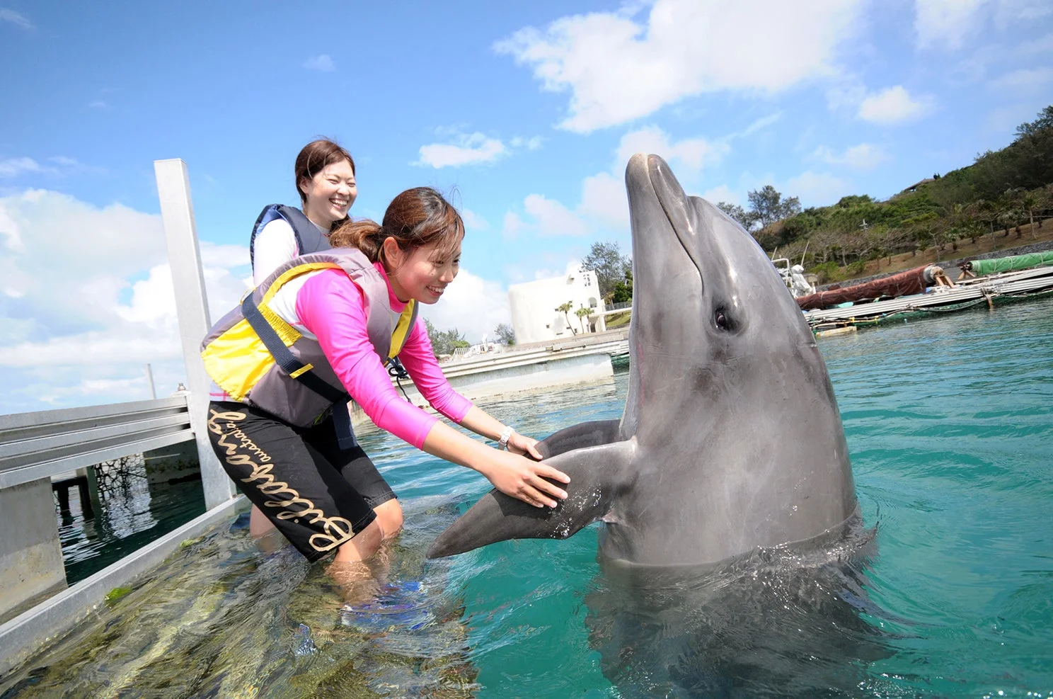 水中でイルカと楽しそうに触れ合う女性たち