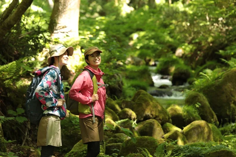 木谷沢渓流散策ツアー