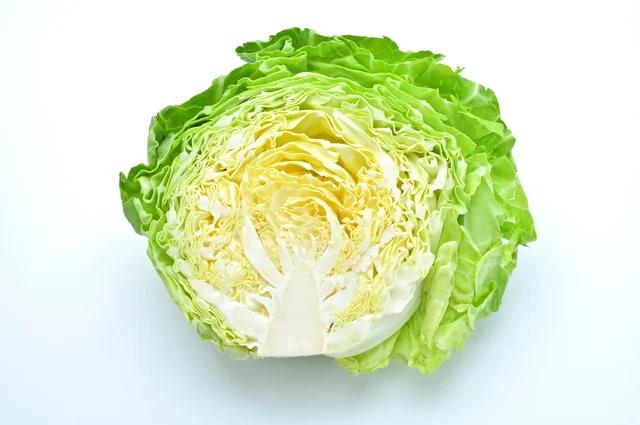 キャベツの断面