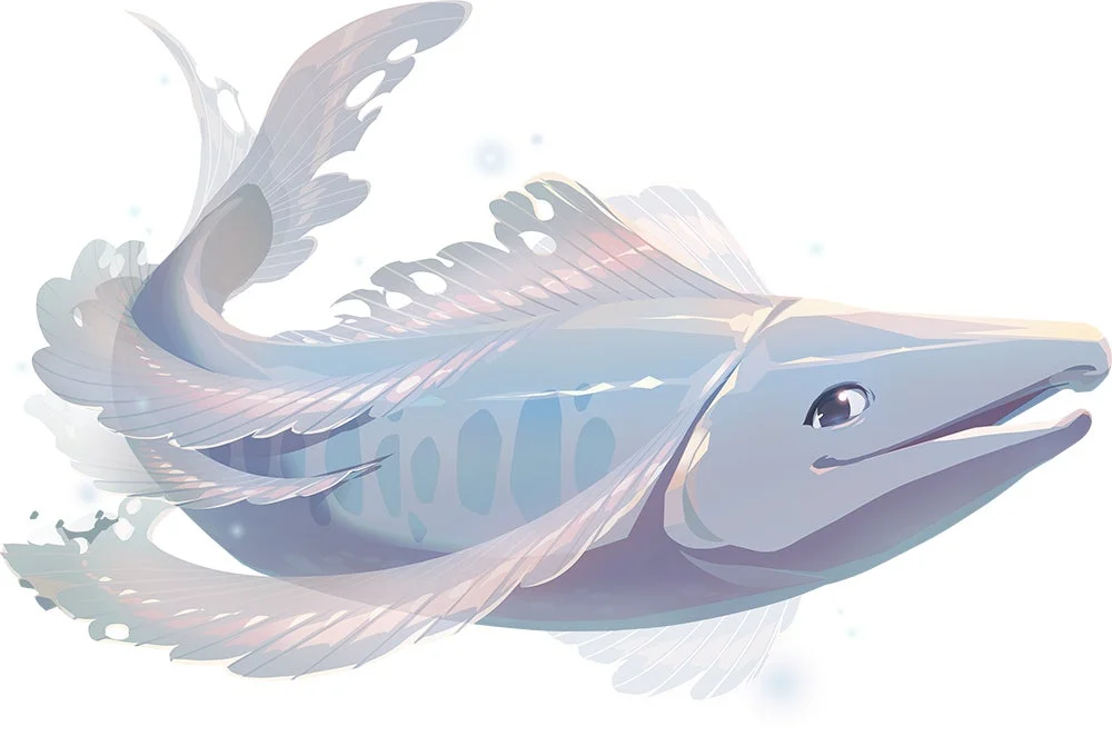 淡い色合いで描かれた、透明感のある大きなヒレを持つ幻想的な魚のイラスト。