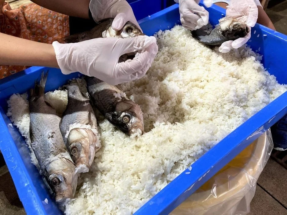 米に魚を詰める作業