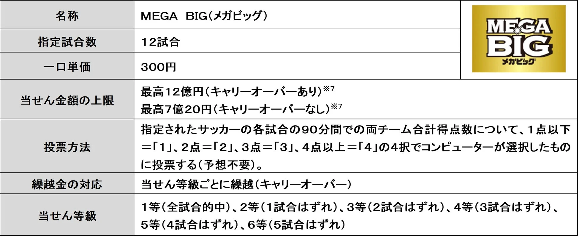 MEGA BIG 販売概要