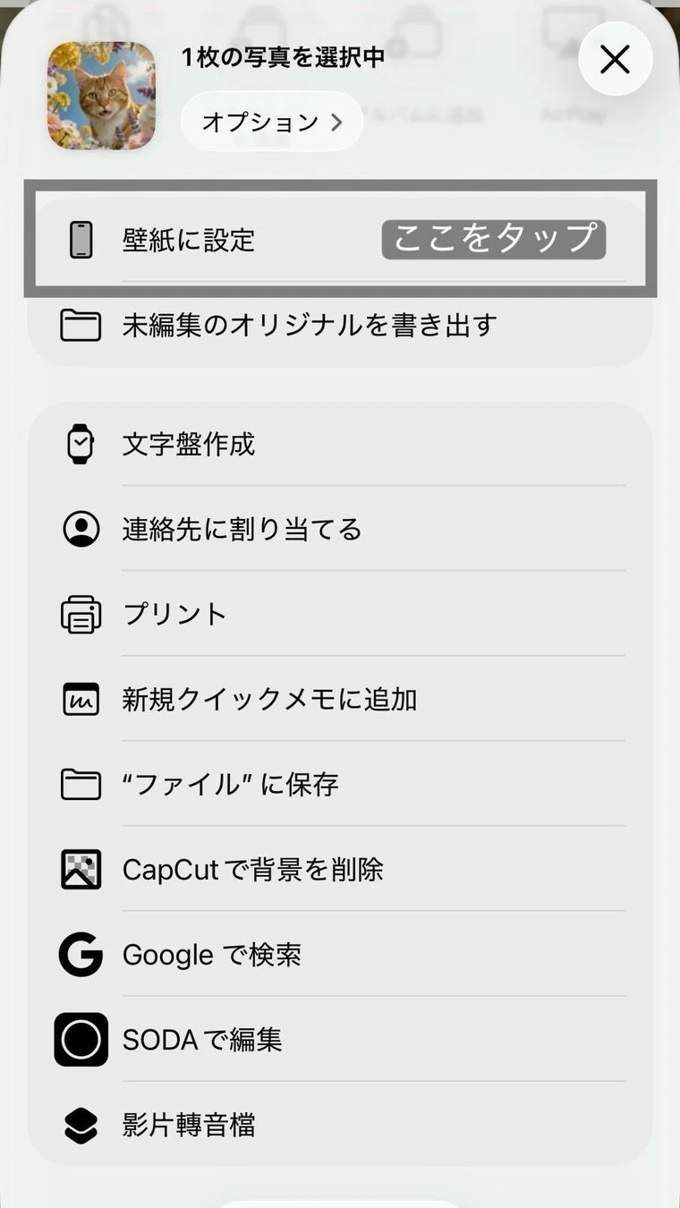 オプションメニュー