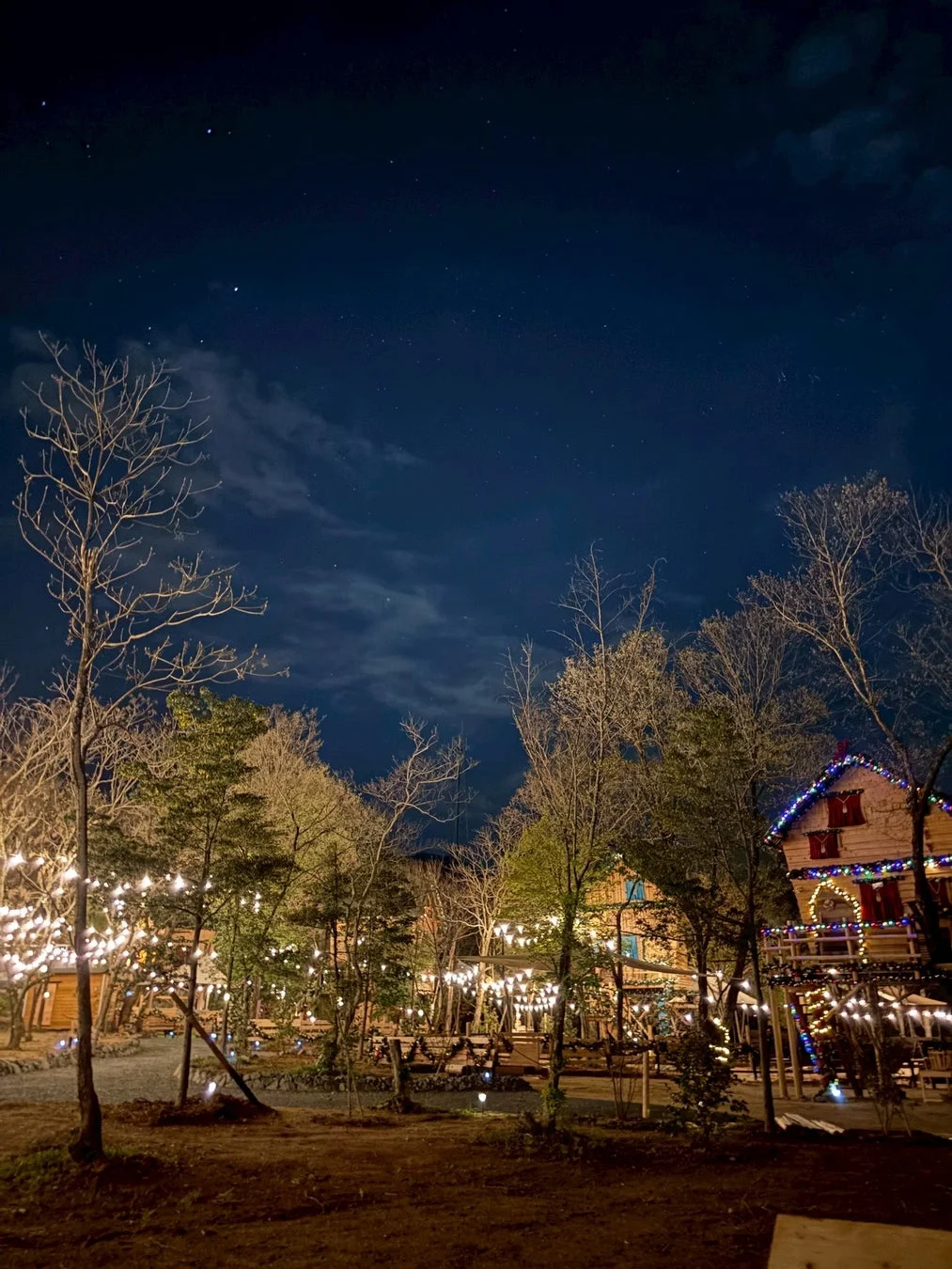夜の森に建つツリーハウスや木々が、無数のイルミネーションで美しくライトアップされた風景