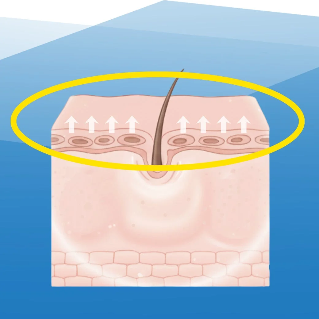 ハリ・弾力ケア
