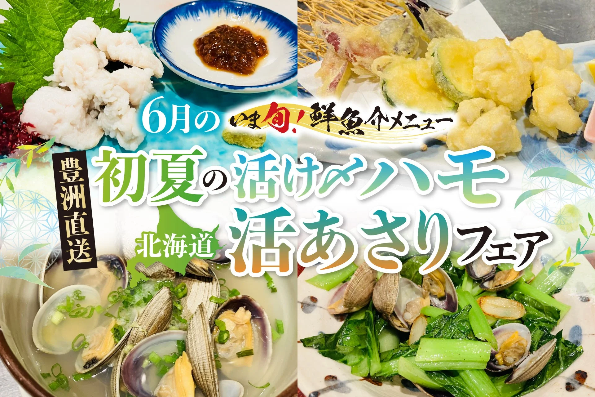 6月の旨旬!鮮魚メニュー 初夏の活け〆ハモ 豊洲直送 北海道 活あさりフェア