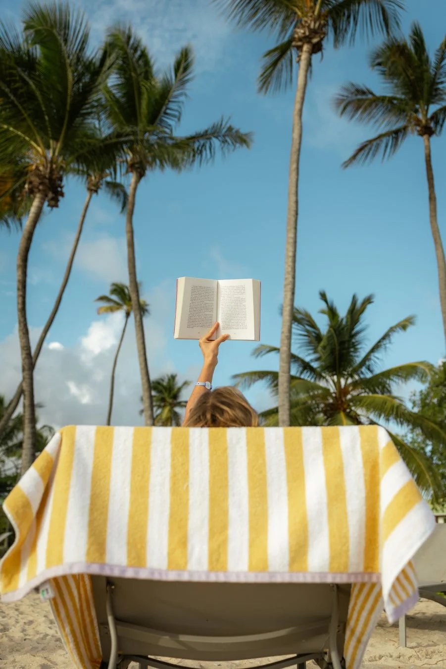 ビーチ、読書、リラックス