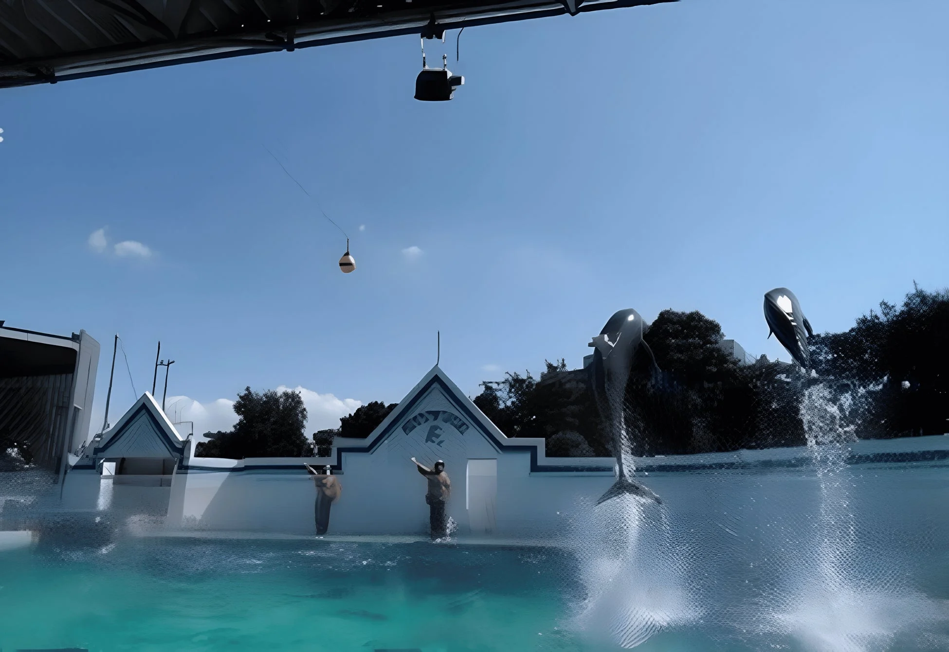 しながわ水族館、DMMかりゆし水族館 イメージ