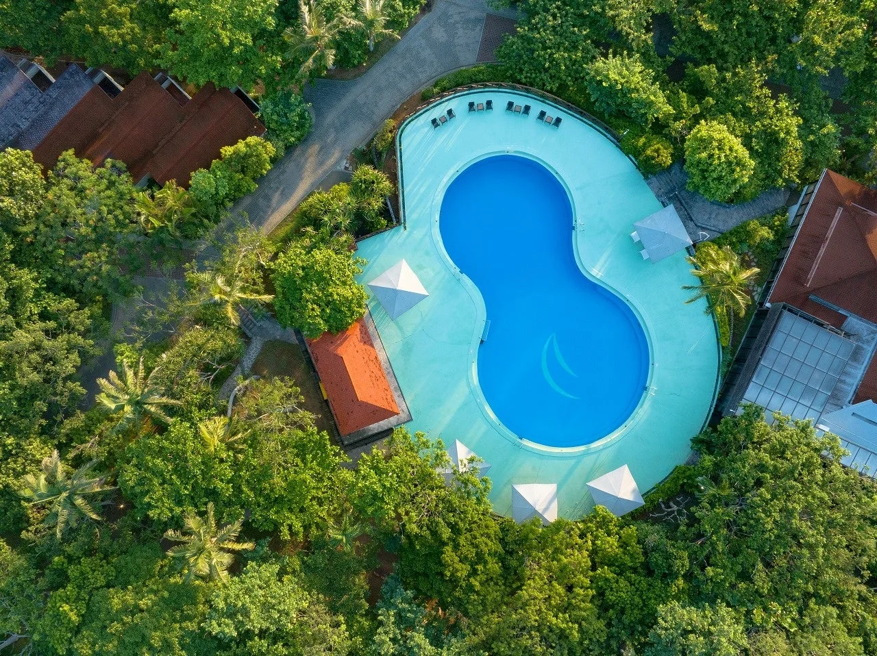 プール,リゾート,空撮,熱帯,緑,ホテル,休暇,水泳,夏,自然,建物,屋外