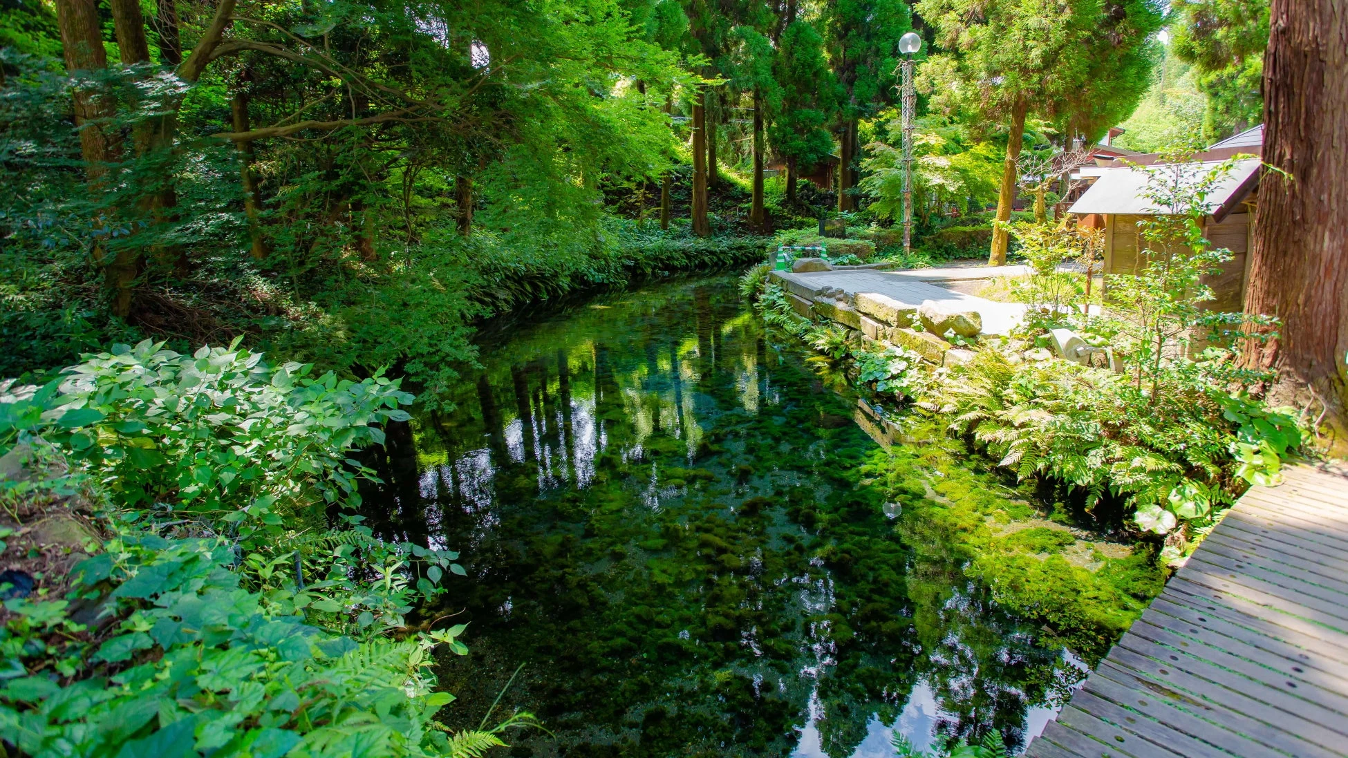 緑豊かな森の中を流れる透明な小川の風景。水底の鮮やかな緑の藻や水草がはっきりと見え、周囲の木々が水面に映り込んでいる。右側には木製の通路と小さな建物があり、自然の静けさを感じさせる。