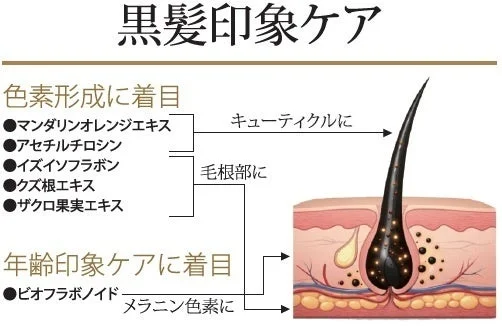 黒髪印象ケアの成分