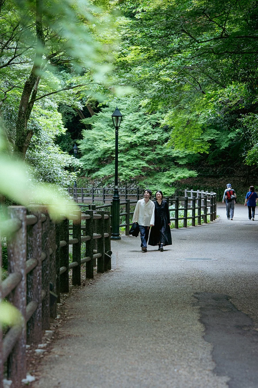 新緑が美しい公園の小道
