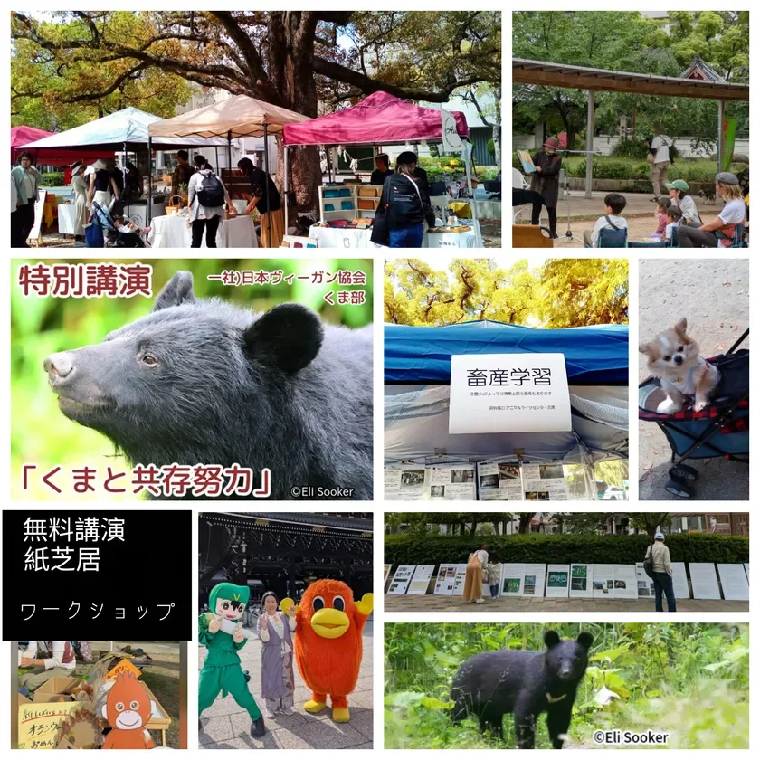 講演やワークショップのコラージュ