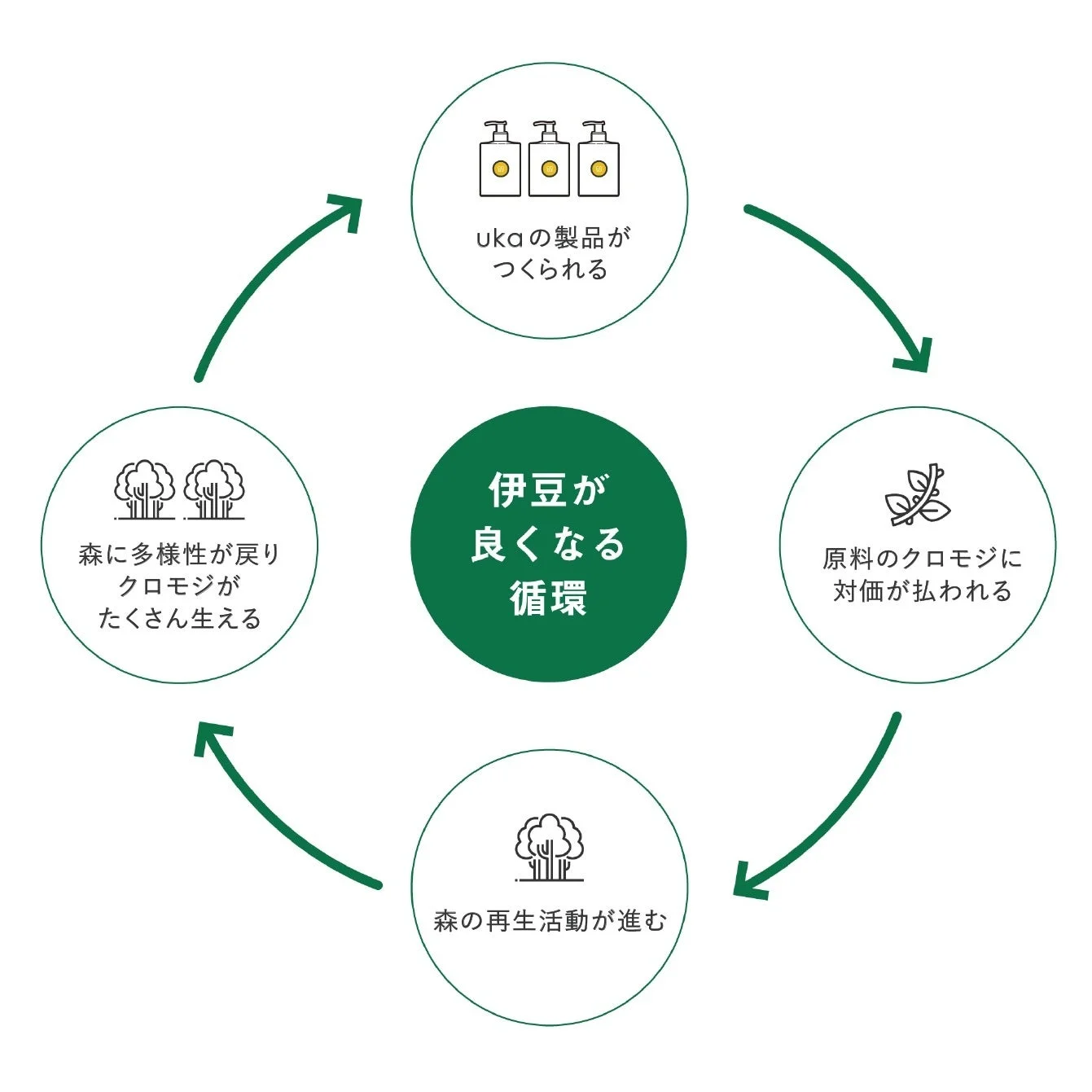 伊豆の循環モデル