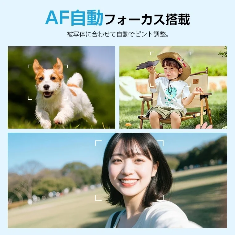 AF自動フォーカスでピントを合わせる様子