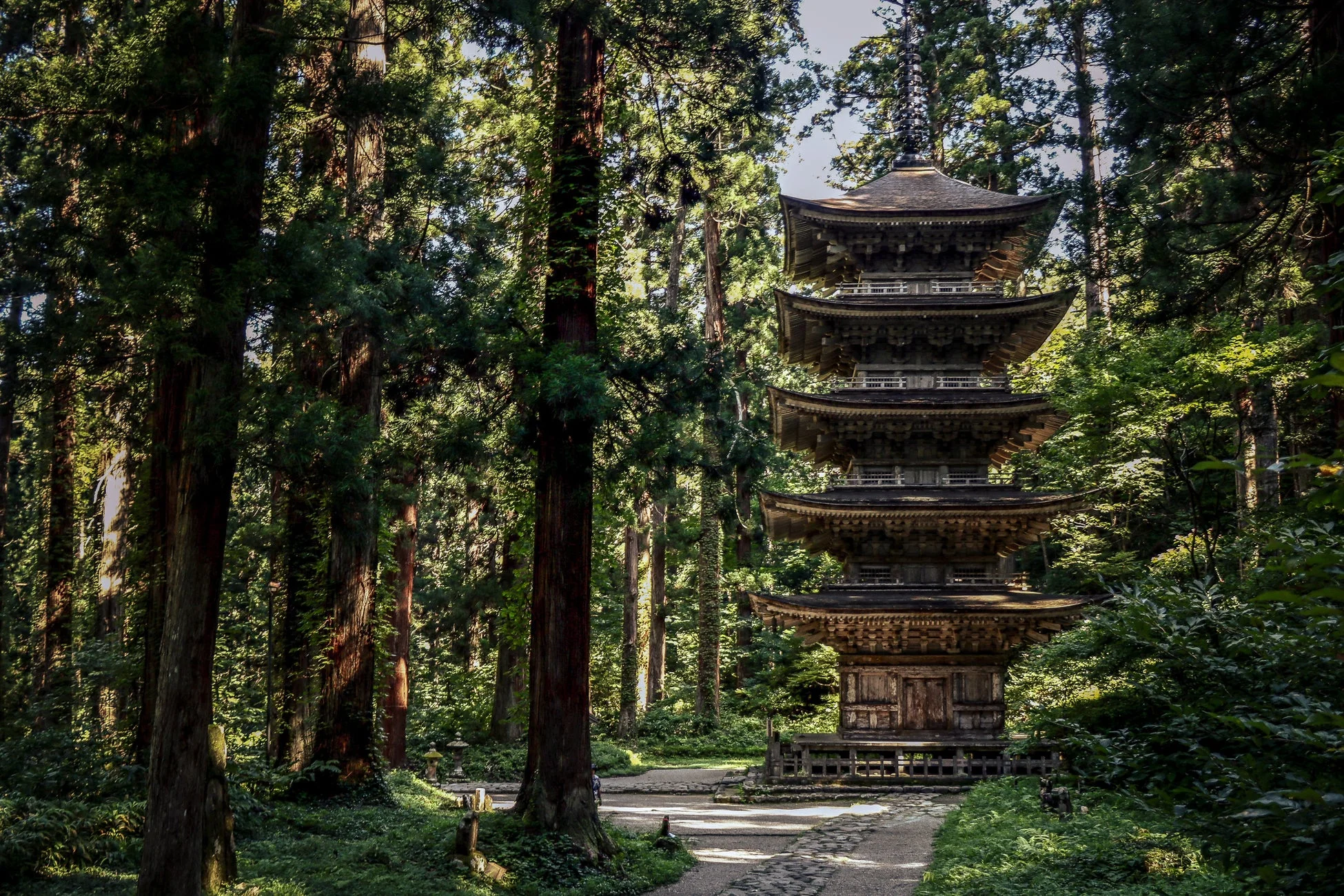 Sacred（セイクレッド）：杉林に佇む五重塔