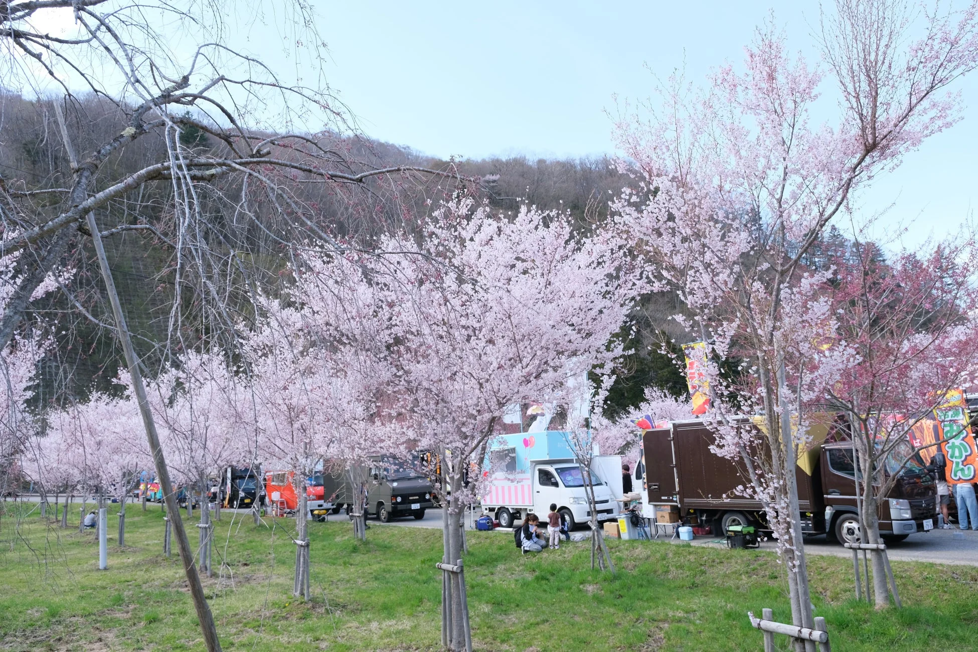 桜並木の下のフードトラック