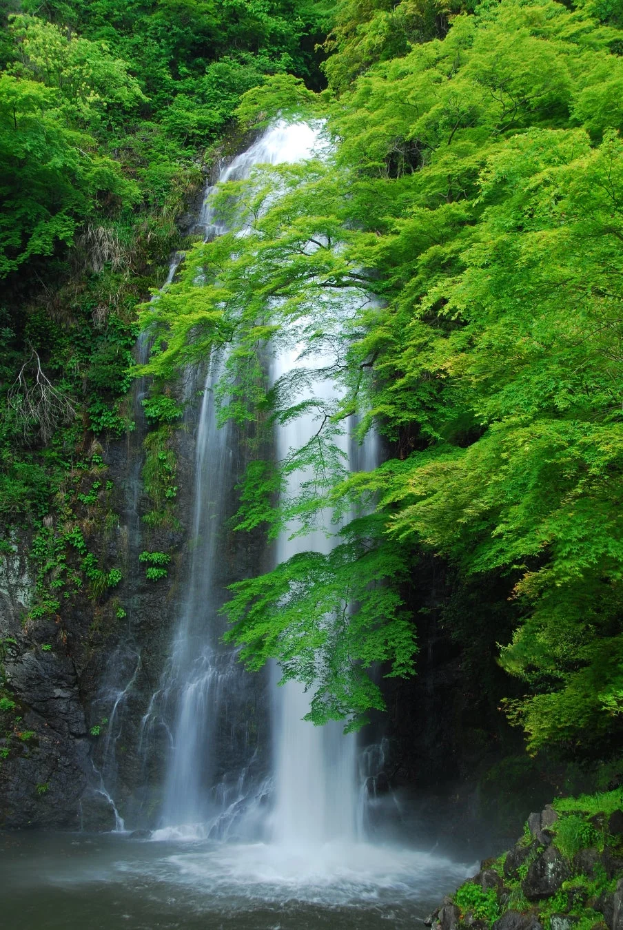 勢いよく流れ落ちる滝