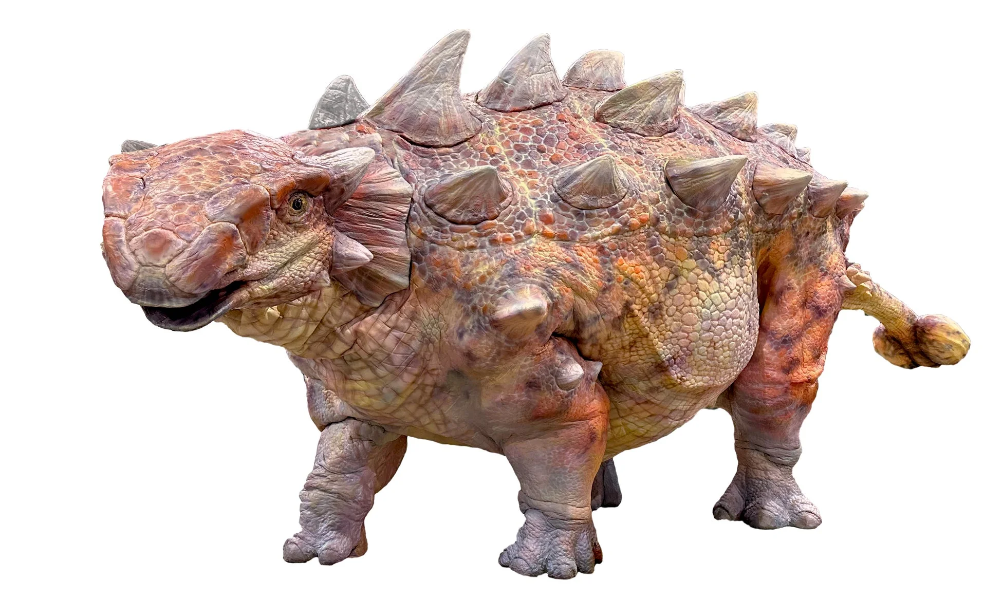 アンキロサウルス