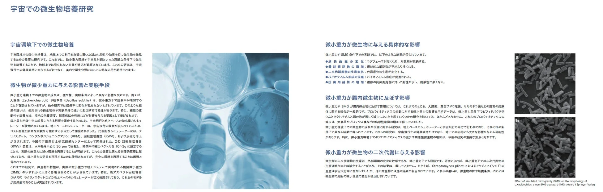 宇宙での微生物培養研究